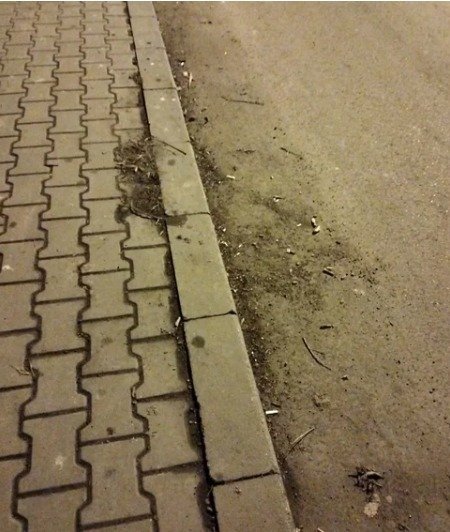 strada focsani pietris